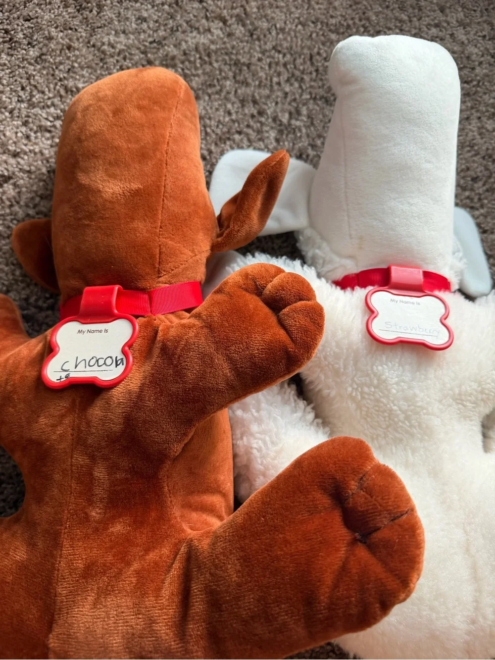 Hasbro Pound Puppies 2019 Set of 2